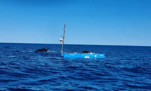 Bluebottle BEACON side shot on the ocean