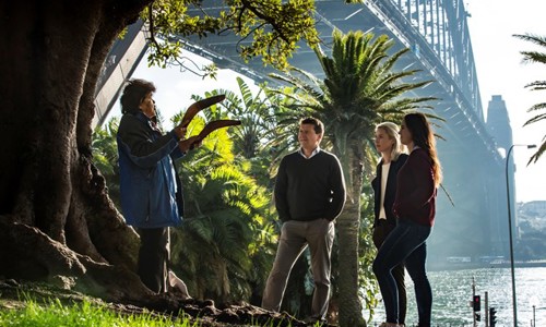 Group of people on a Sydney walking tour, under the Harbour Bridge, with Aboriginal guide from Dreamtime SouthernX