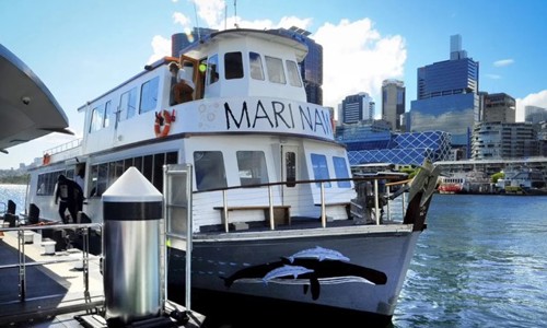 Tribal Warriors Cruise Boat docked at harbour in Sydney