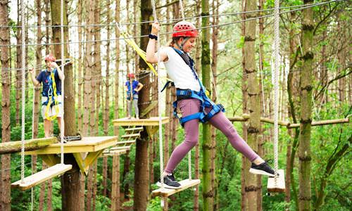 People enjoying the Treetop Climb, a nature and sustainability focused activity