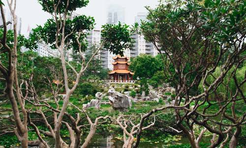 A Chinese-style pagoda sits in front of modern high rise buildings and is surrounded by trees in a garden